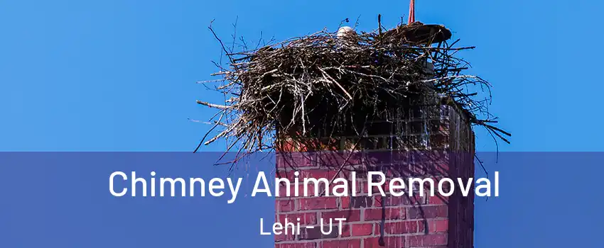 Chimney Animal Removal Lehi - UT