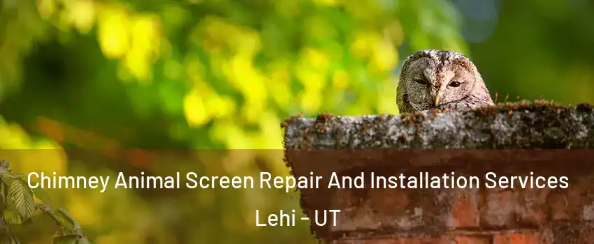  Chimney Animal Screen Repair And Installation Services Lehi - UT