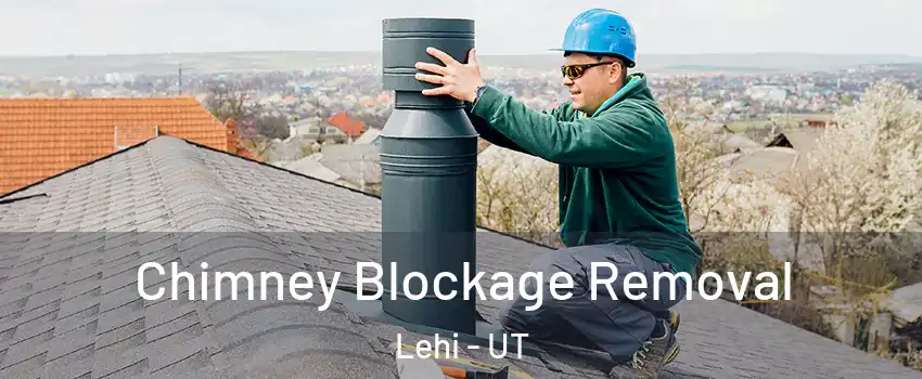  Chimney Blockage Removal Lehi - UT