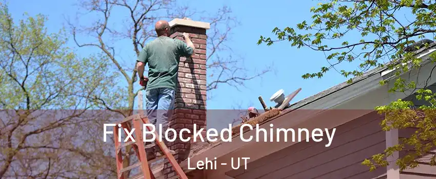  Fix Blocked Chimney Lehi - UT