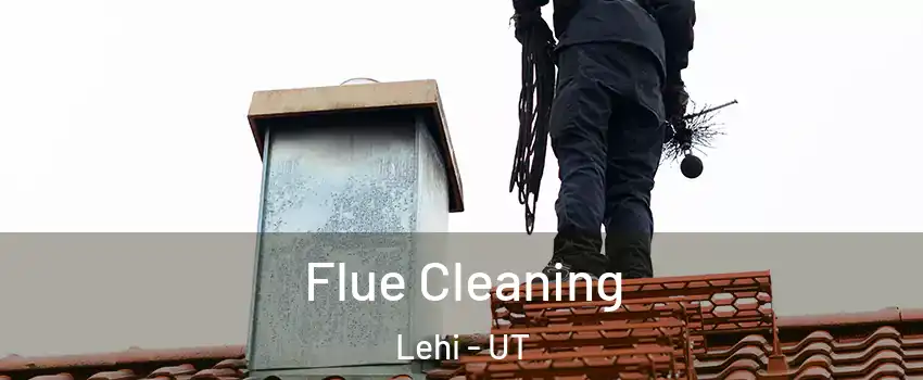  Flue Cleaning Lehi - UT
