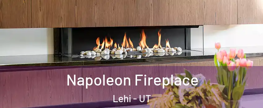  Napoleon Fireplace Lehi - UT